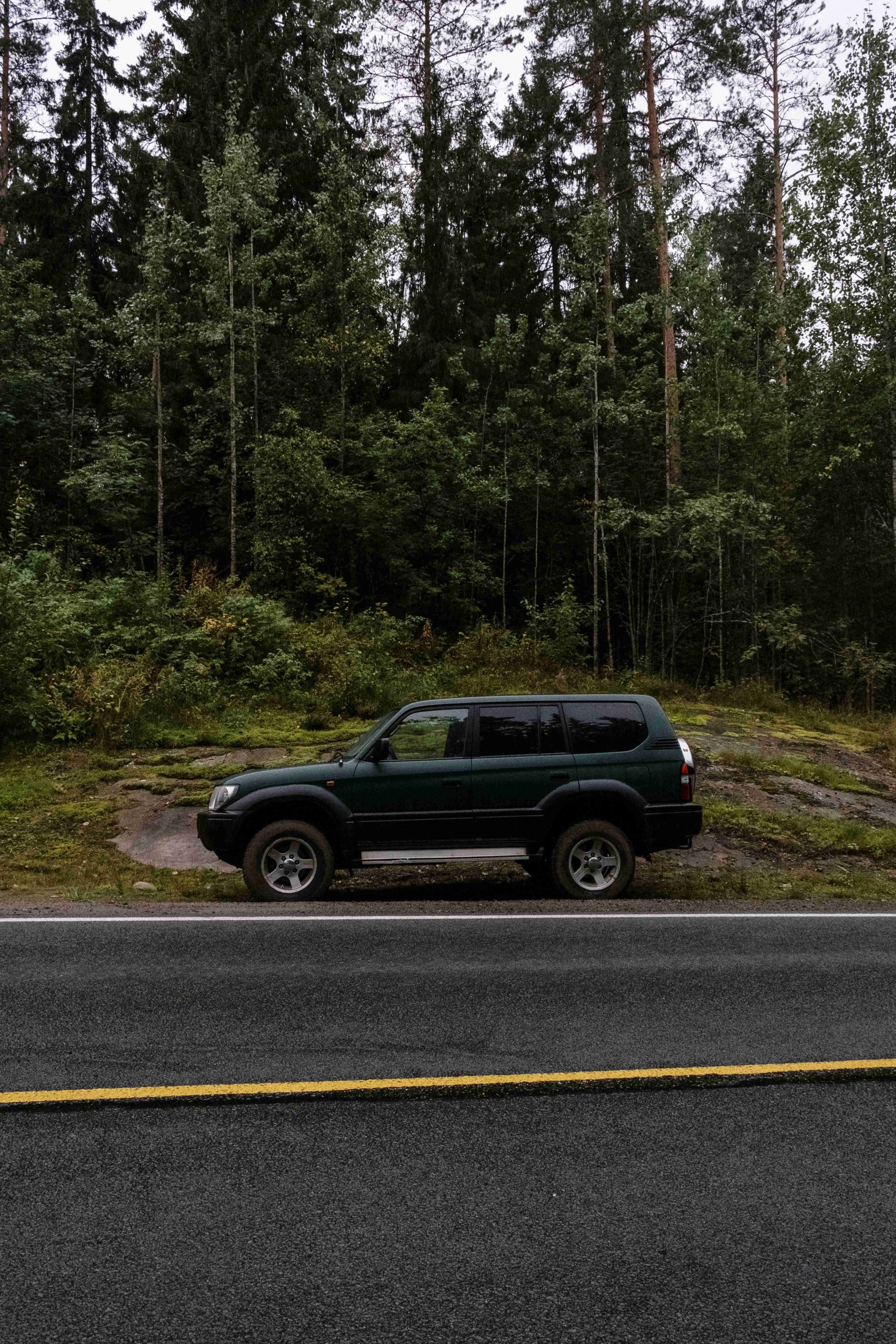jenis sewa mobil driver di depan hutan